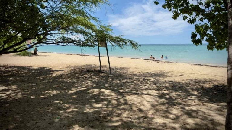 Playa El Combate de día, con arena clara, sombra de árboles y el mar al fondo