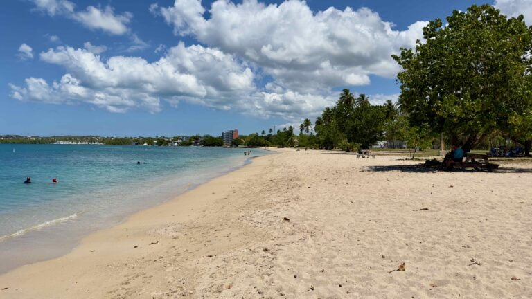 Playa del Balneario de Boquerón de día, con arena clara, un árbol de sombra y el mar tranquilo
