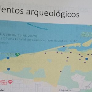 La Encrucijada de Cabo Rojo: Desarrollo Económico vs. Patrimonio Natural