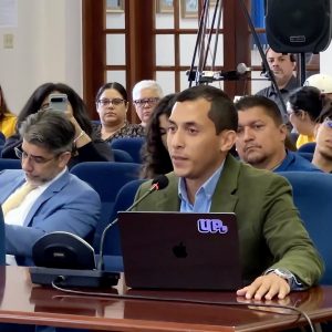 declaracion de impacto ambiental del proyecto esencia